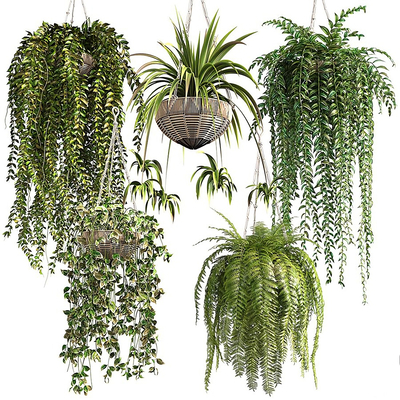  现代吊篮绿植盆栽悬挂植物su模型 
