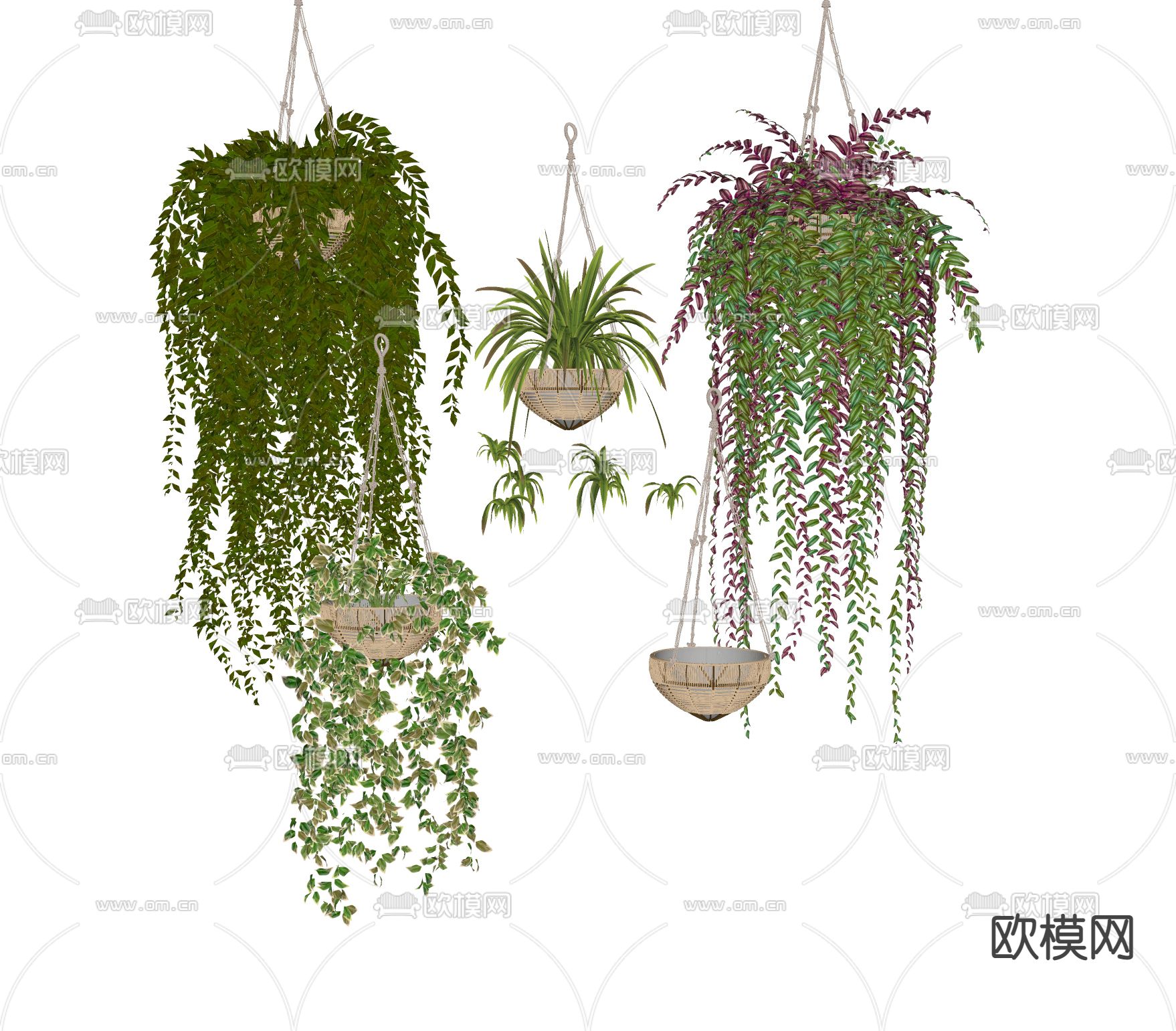 现代吊篮绿植盆栽悬挂植物su模型下载（渲染图2）