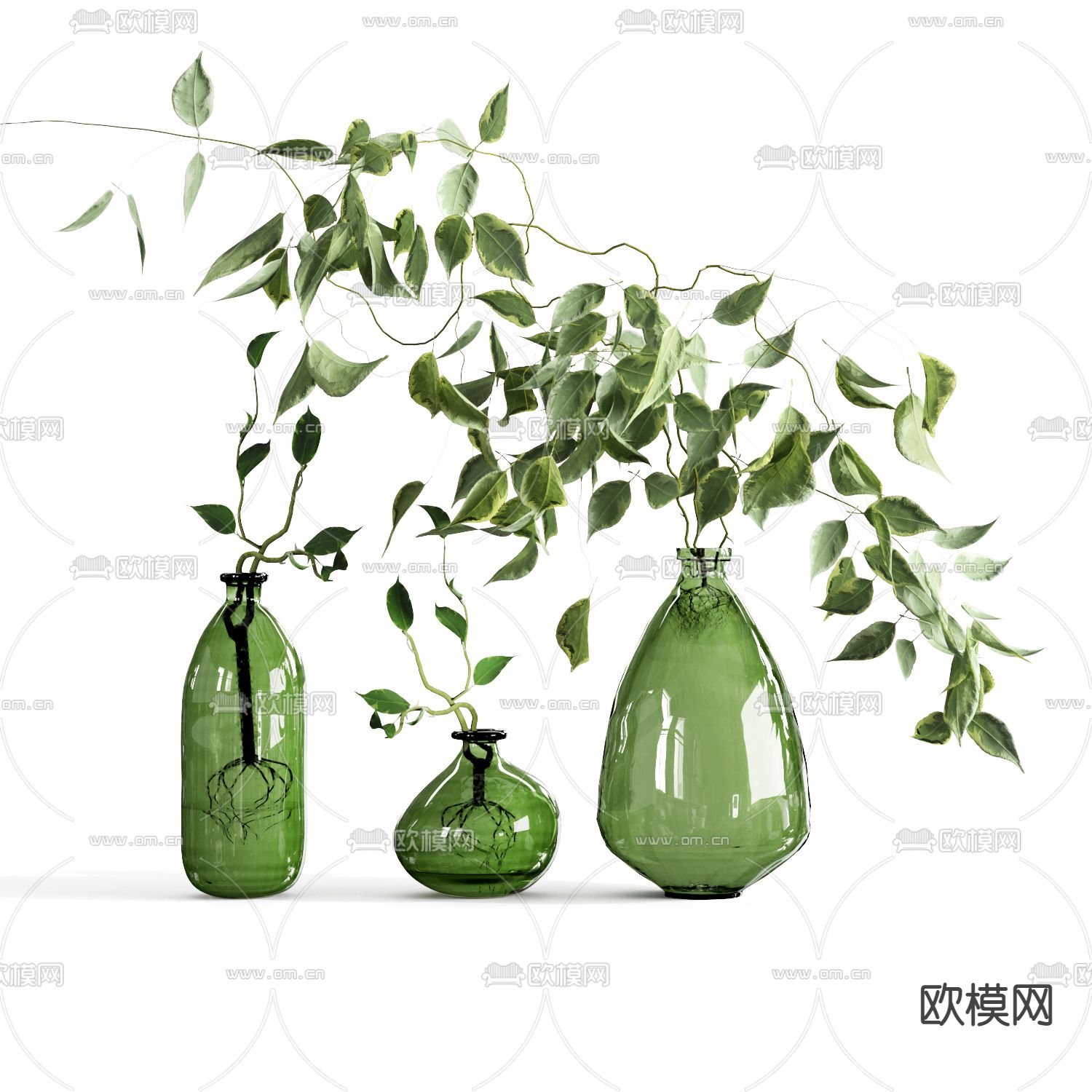 现代水培绿植花瓶3d模型下载（渲染图2）