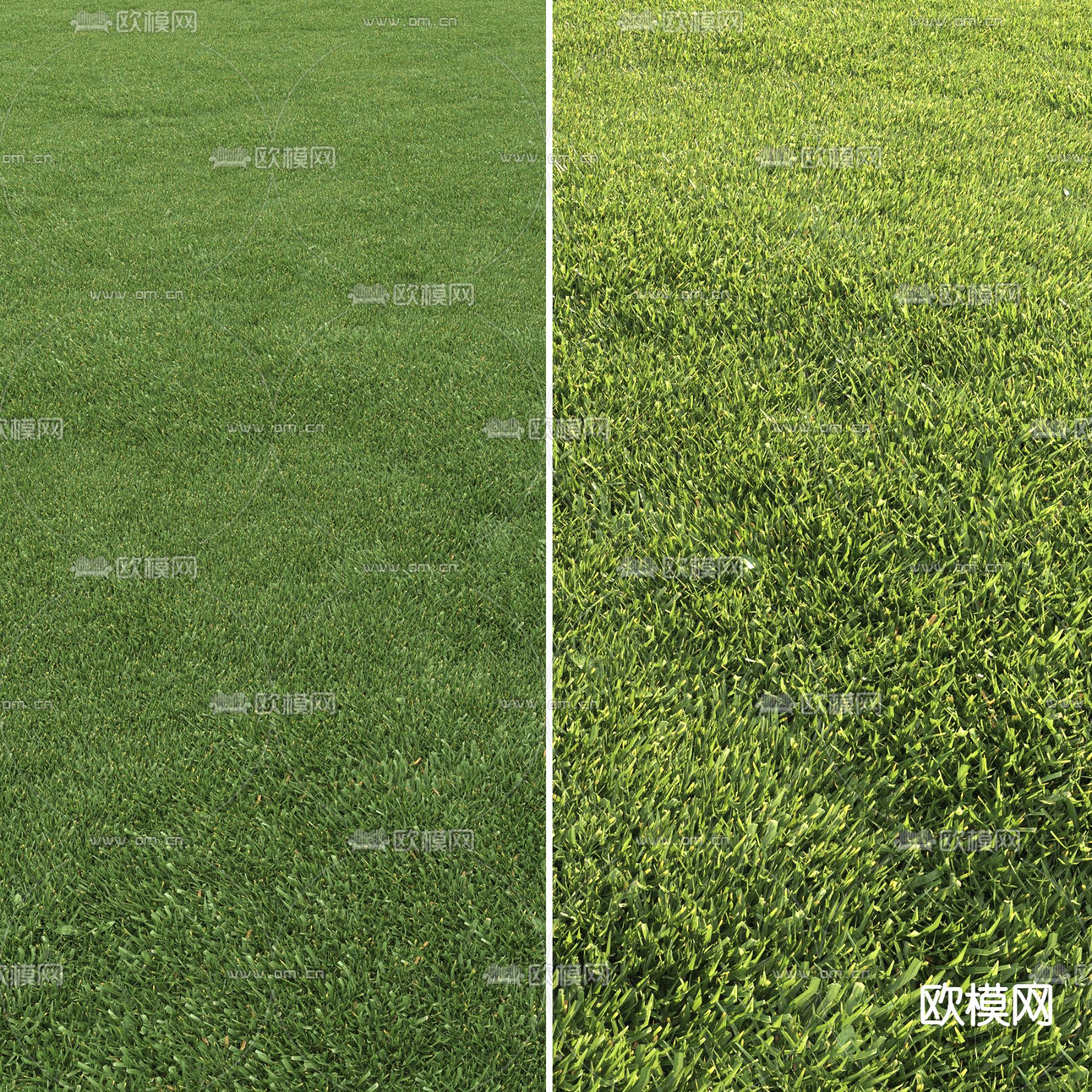 现代草地草坪3d模型下载（渲染图3）