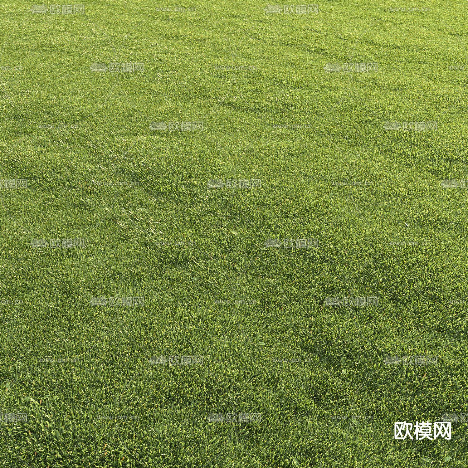 现代草地草坪3d模型下载（渲染图4）