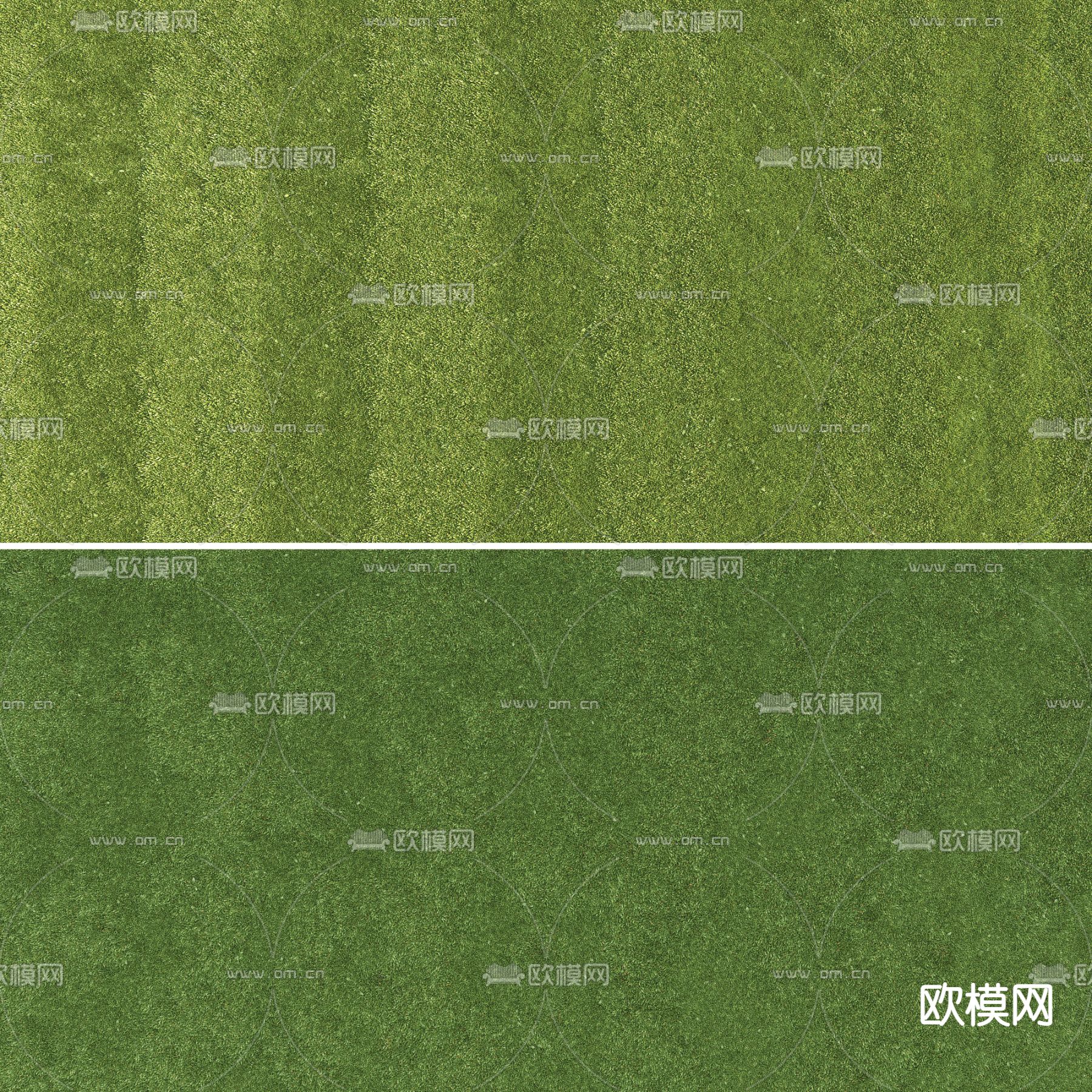 现代草地草坪3d模型下载（渲染图2）