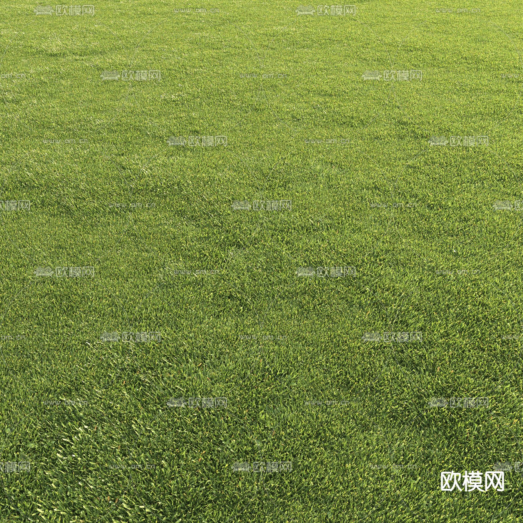 现代草地草坪3d模型下载（渲染图1）