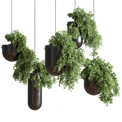  现代绿植吊篮su模型 