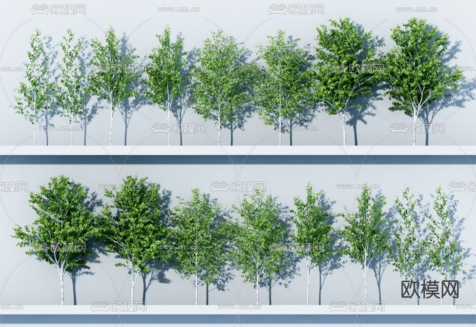 乔木景观树3d模型下载_ID12106436_3dmax免费模型-欧模网