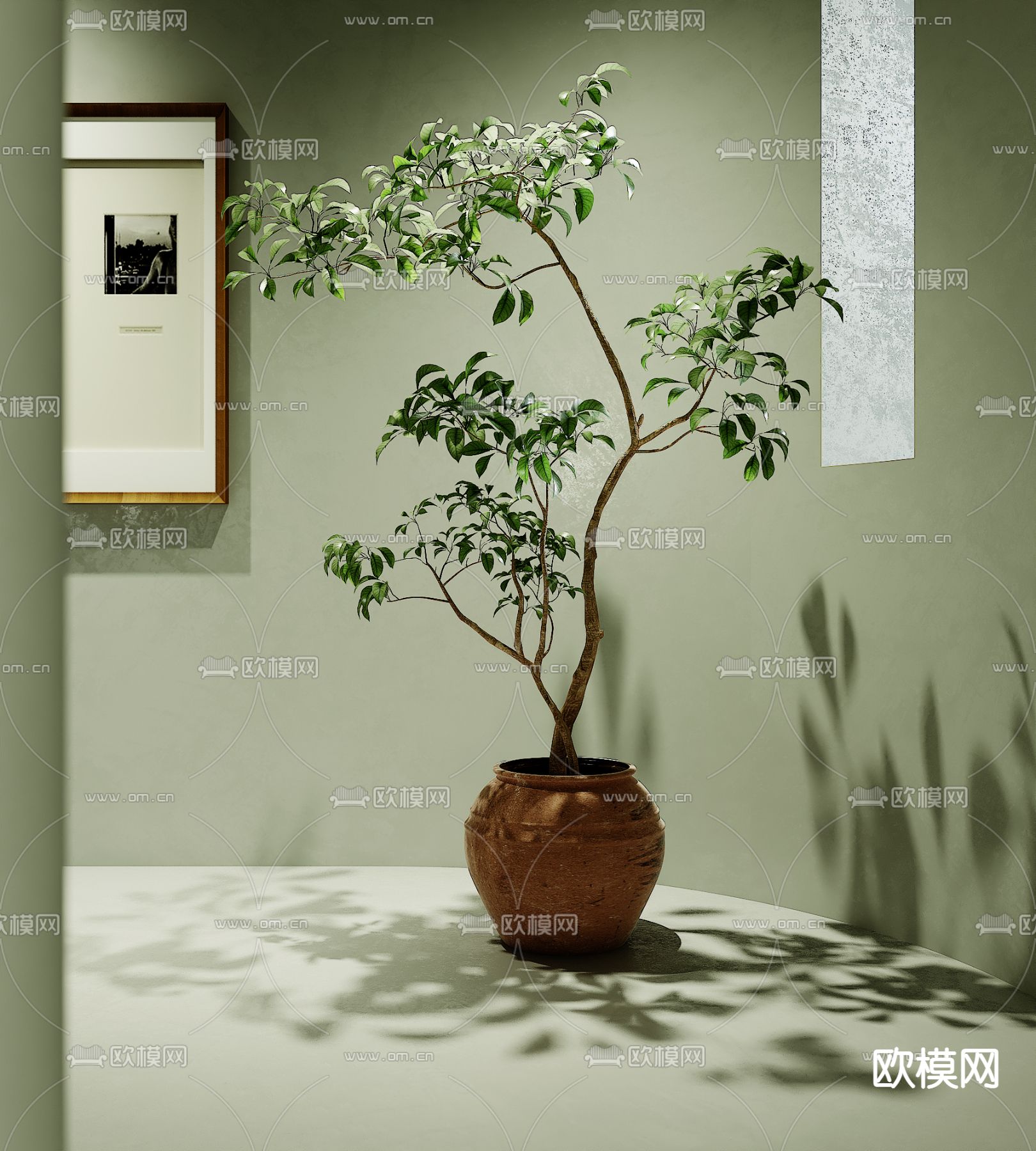 现代绿植盆栽3d模型下载_ID12107047_3dmax免费模型-欧模网