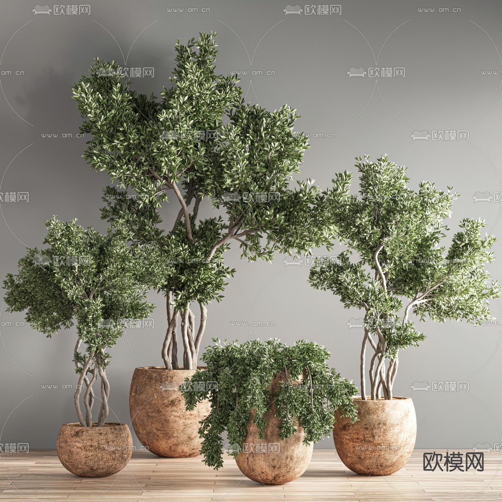 现代侘寂风绿植盆栽su模型下载_ID12105844_sketchup模型下载-欧模网