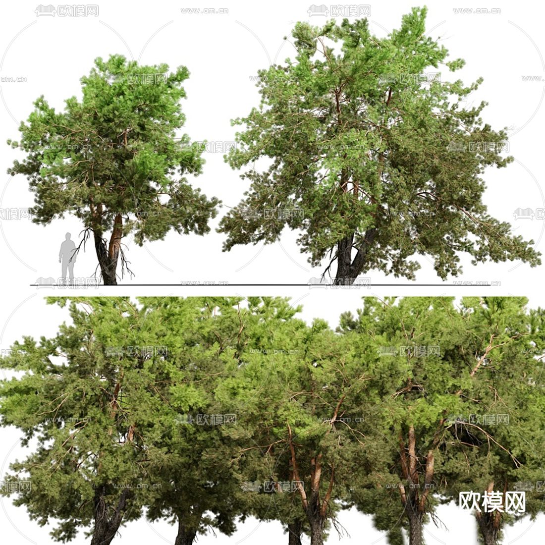 现代植物堆景观树3d模型下载