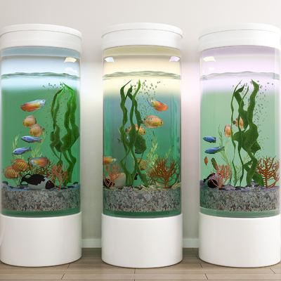  现代生态鱼缸su模型 