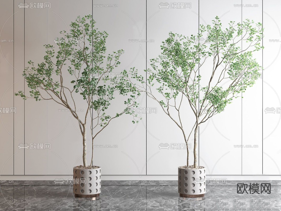 现代马醉木植物盆栽su模型下载_ID:12110881_sketchup模型下载-欧模网