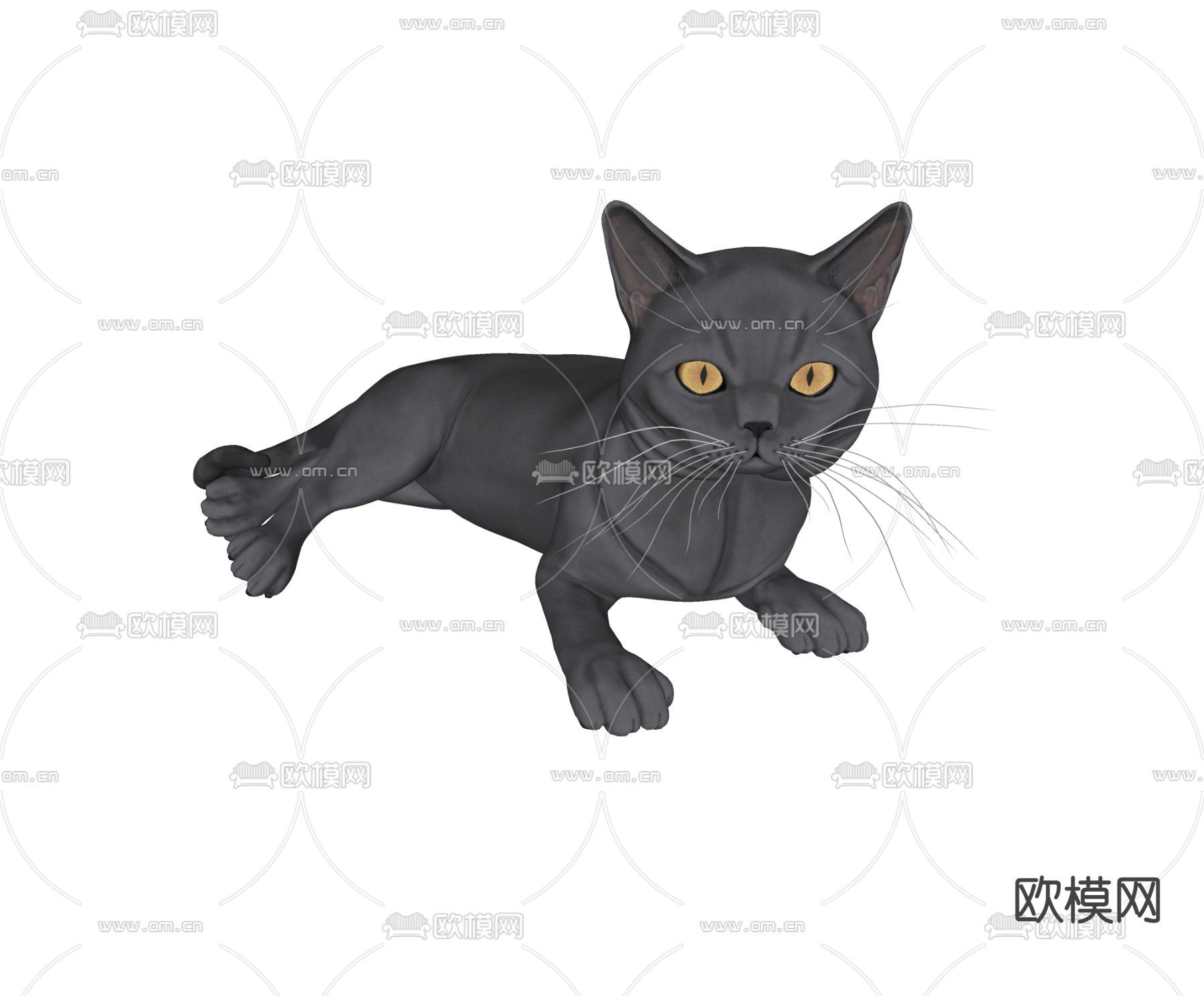 宠物猫 英短蓝猫su模型下载（渲染图2）