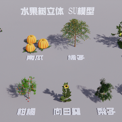  现代水果树su模型 