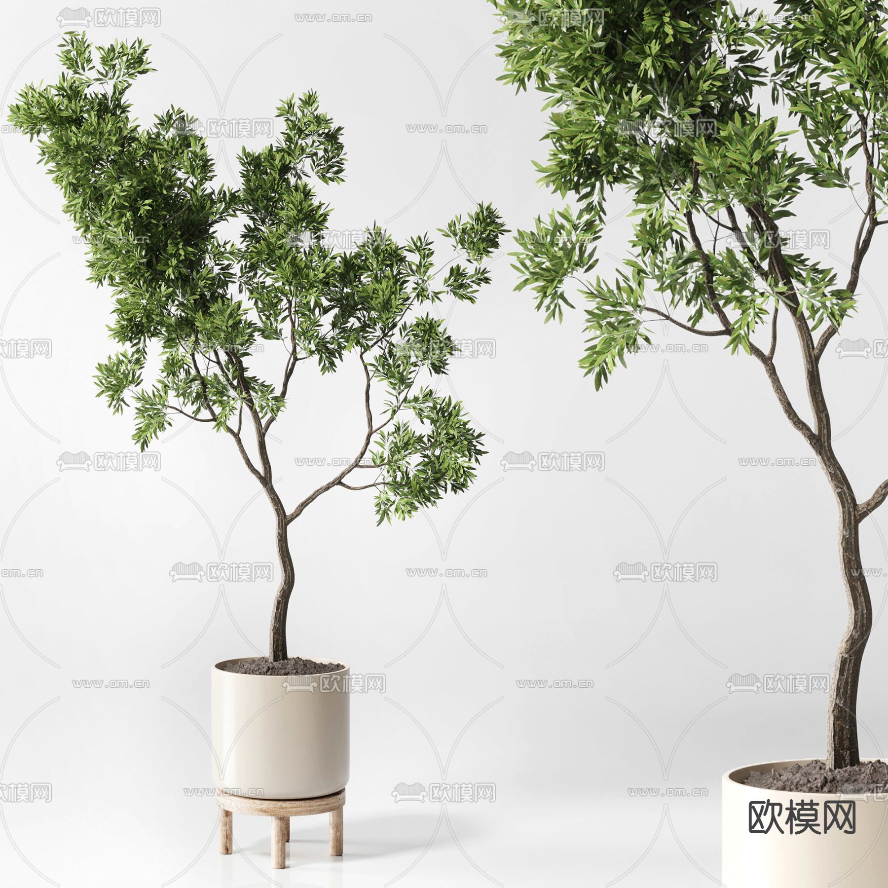 现代盆栽 盆景3d模型下载_ID12115260_3dmax免费模型-欧模网