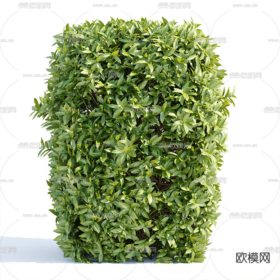 现代绿植灌木3d模型下载（渲染图3）