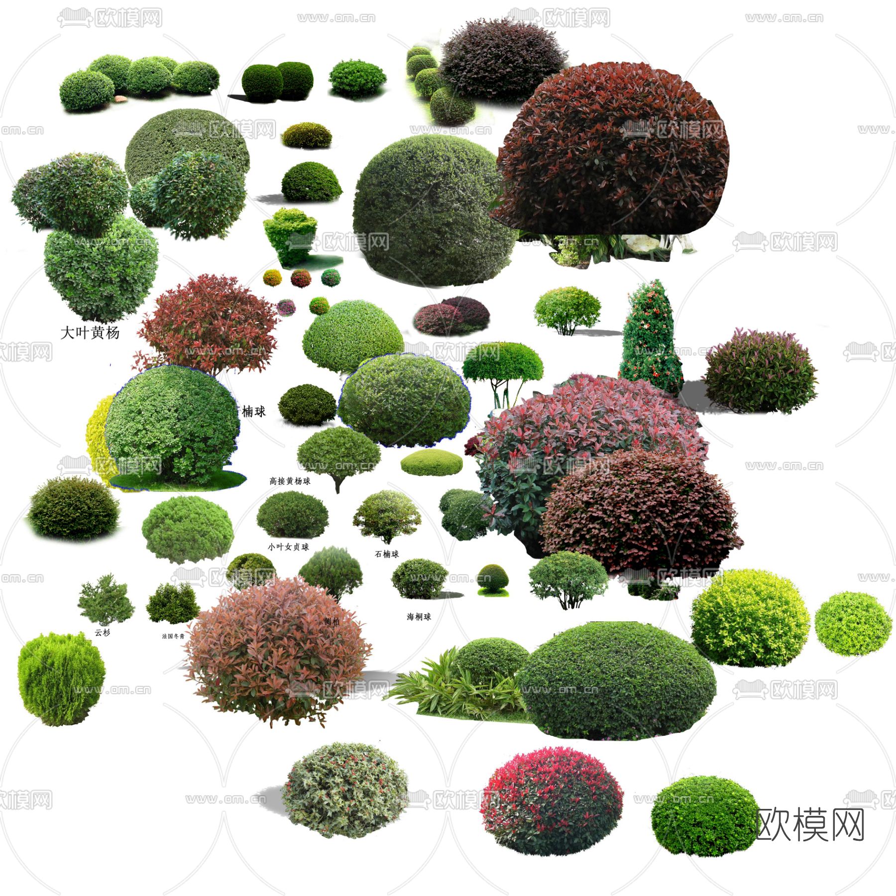灌木球psd下载_ID12114760_3dmax免费模型-欧模网