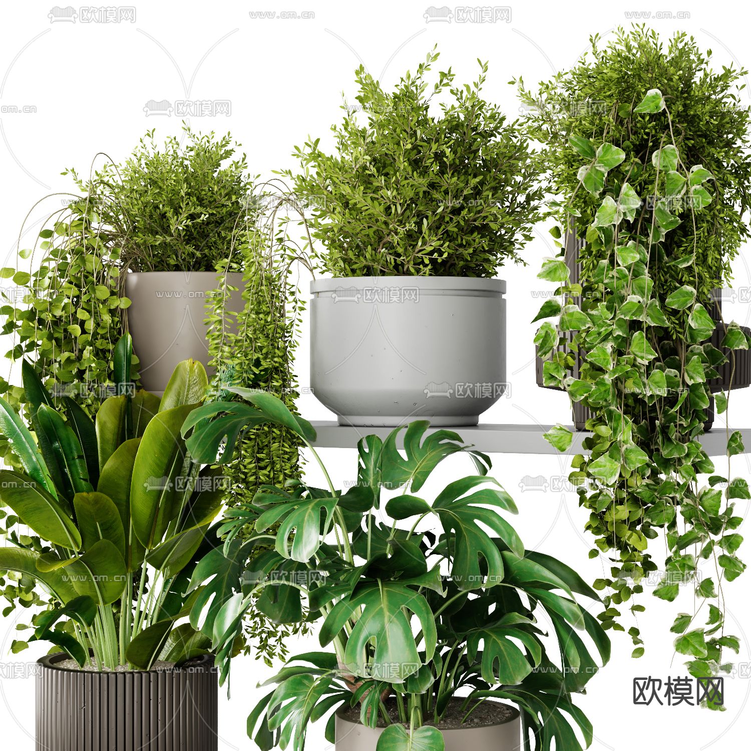 现代绿植盆栽 盆景3d模型下载（渲染图2）