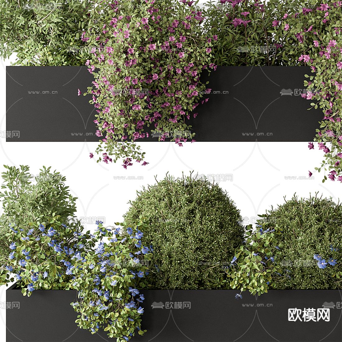 植物 花圃 盆栽 花箱3d模型下载（渲染图2）
