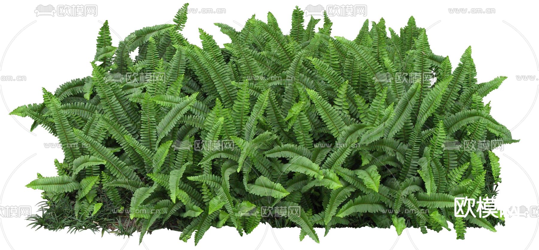 现代绿植灌木psd下载