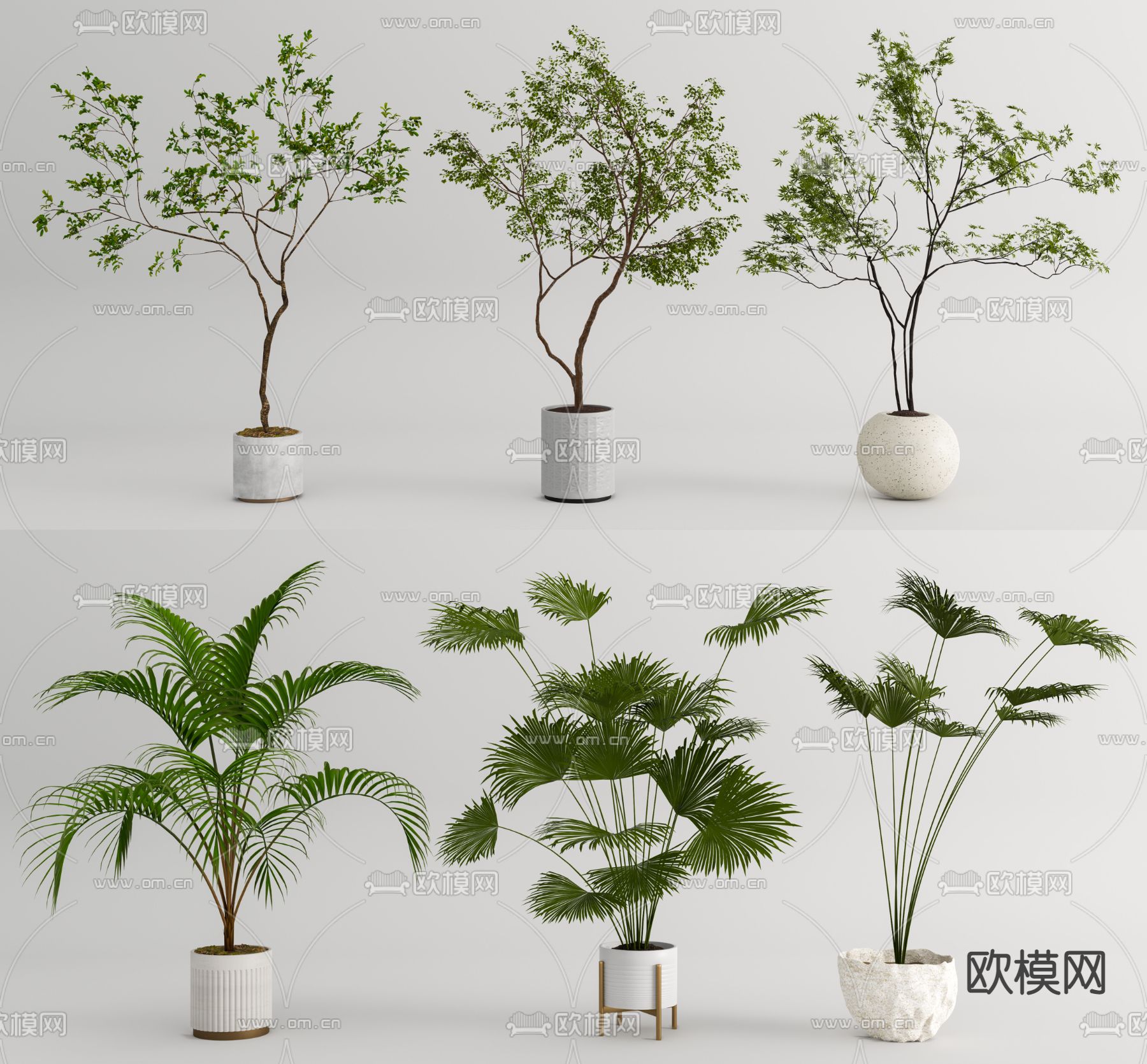 现代散尾葵盆栽su模型下载_ID12119588_sketchup模型下载-欧模网