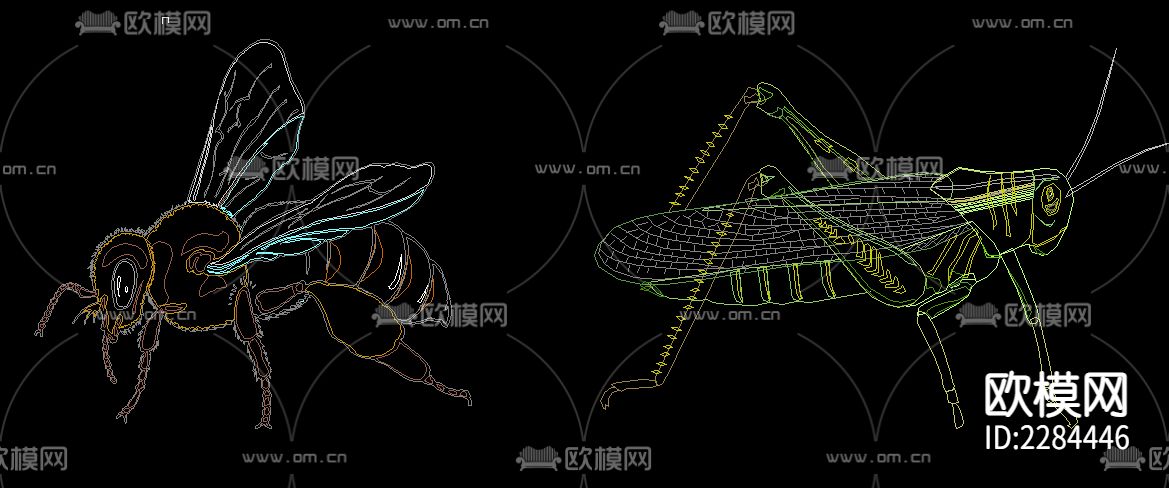 动物类昆虫CAD施工图下载（渲染图4）