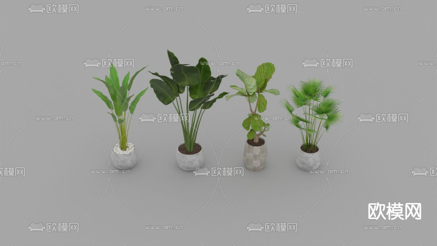 现代简约绿植盆栽免费3d模型下载