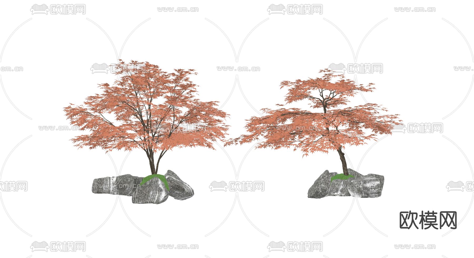 日式枫树su模型下载（渲染图1）