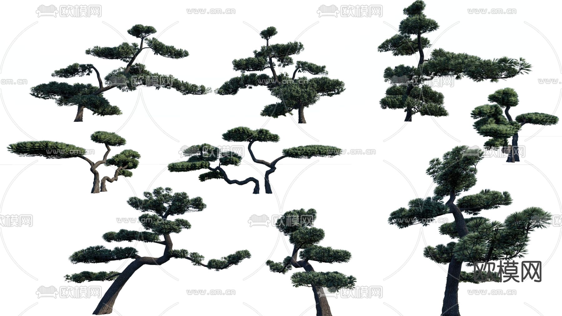 现代罗汉松绿植树木psd下载