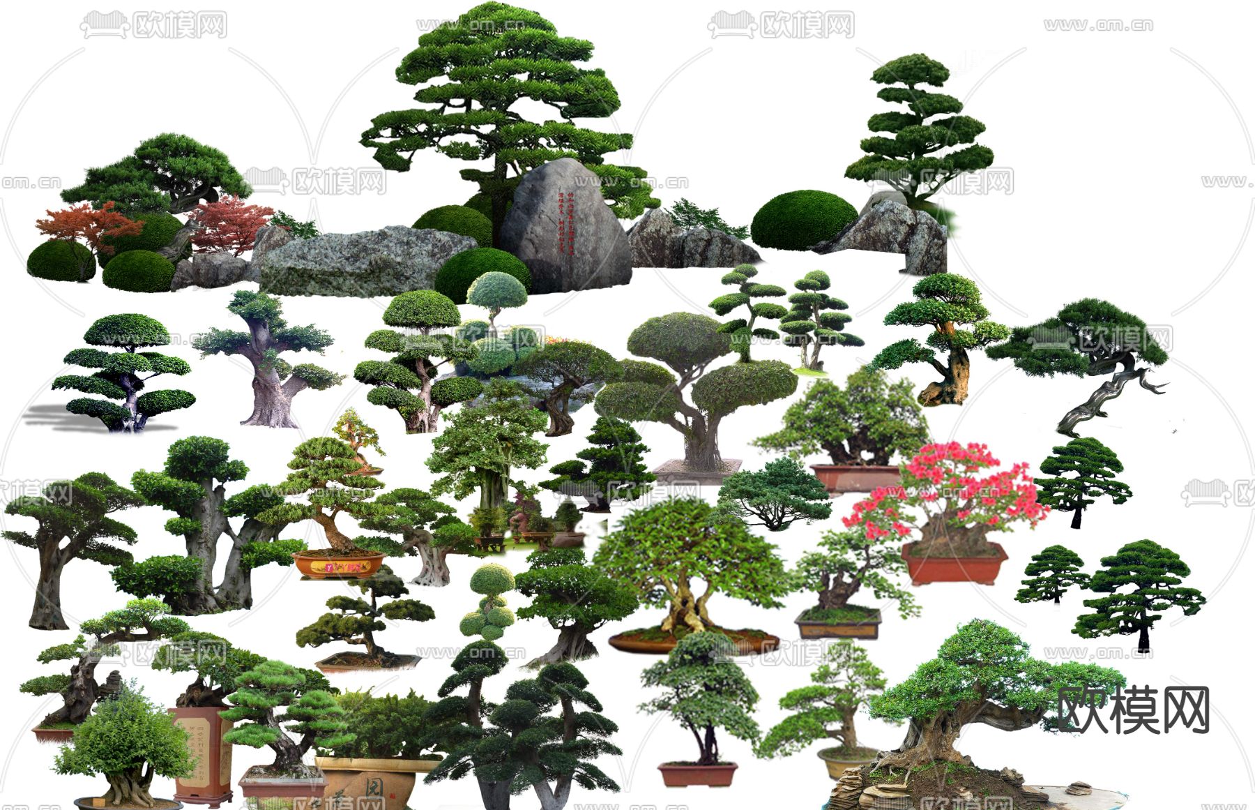 现代绿植树木盆栽psd下载