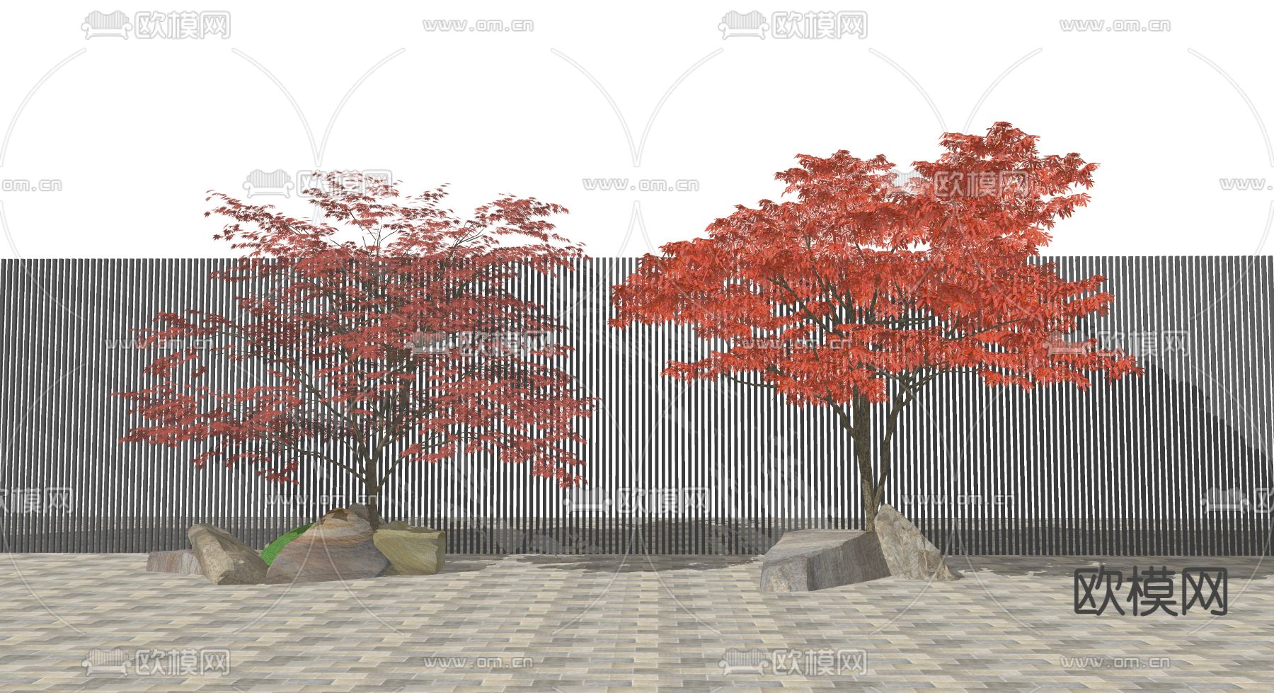 日式枫树su模型下载