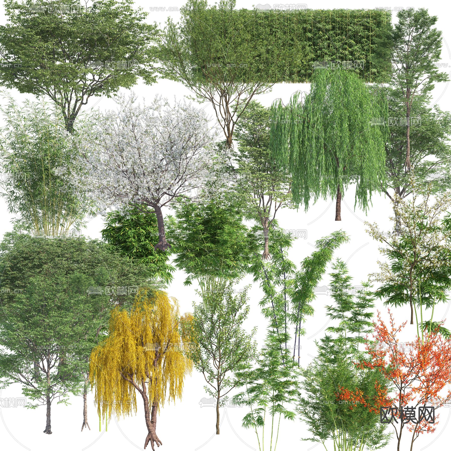 现代柳树景观树psd下载