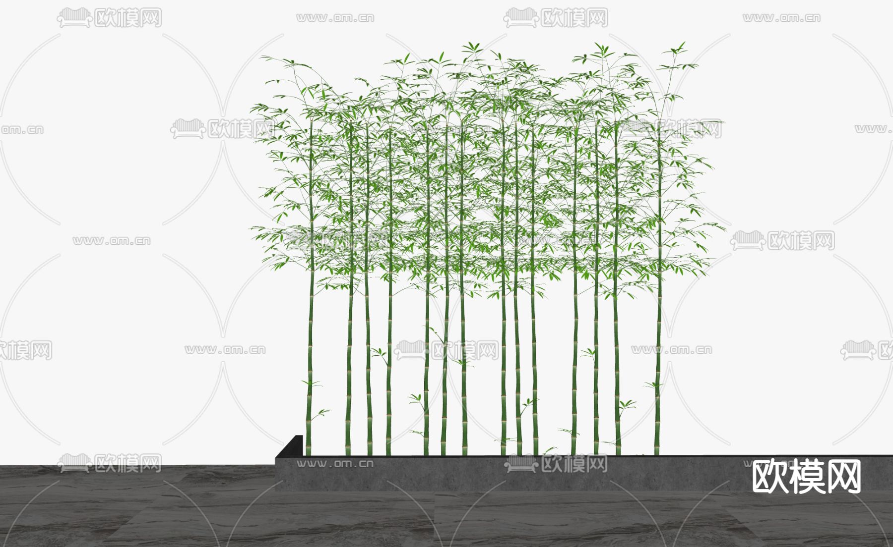 现代植物竹子su模型