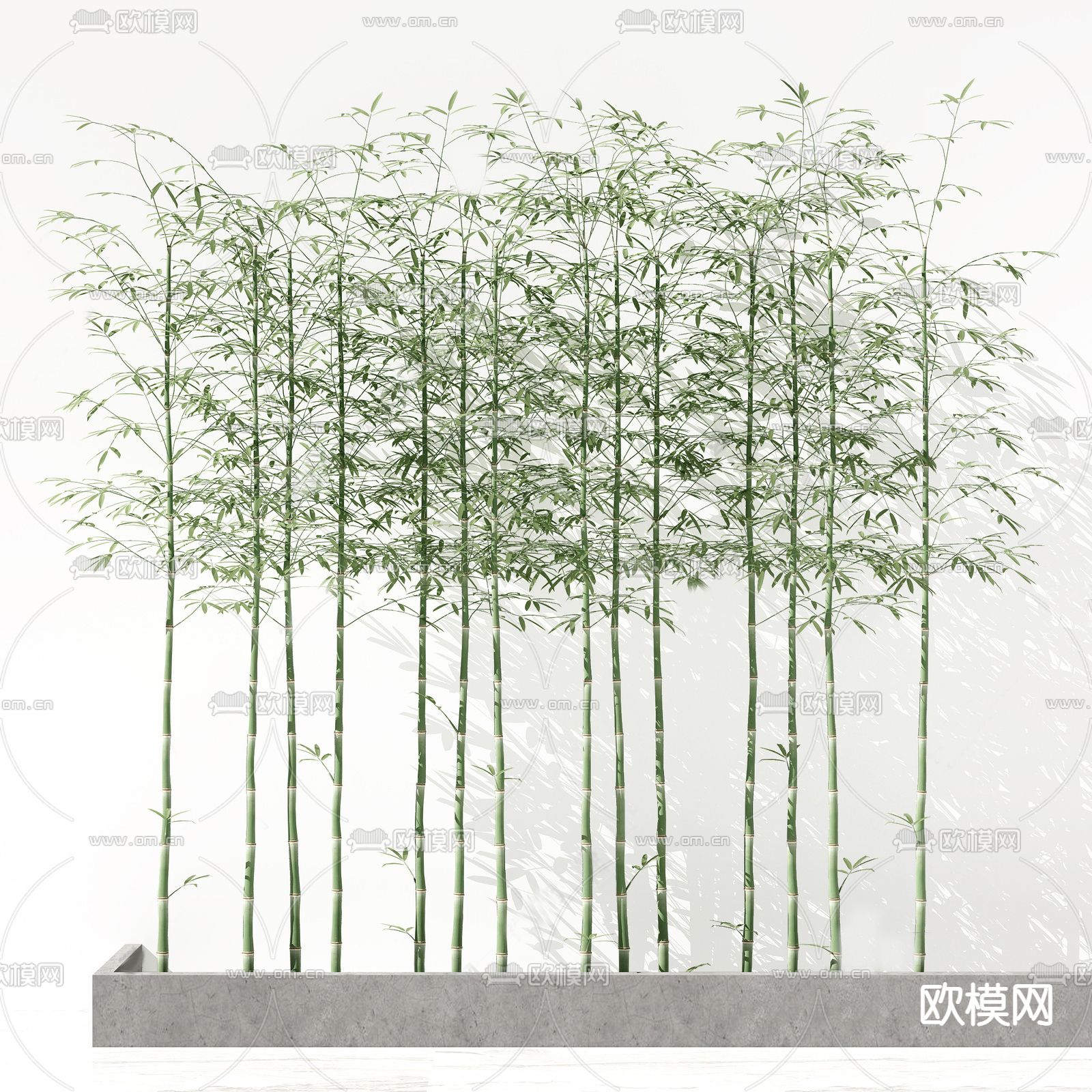 现代植物竹子su模型
