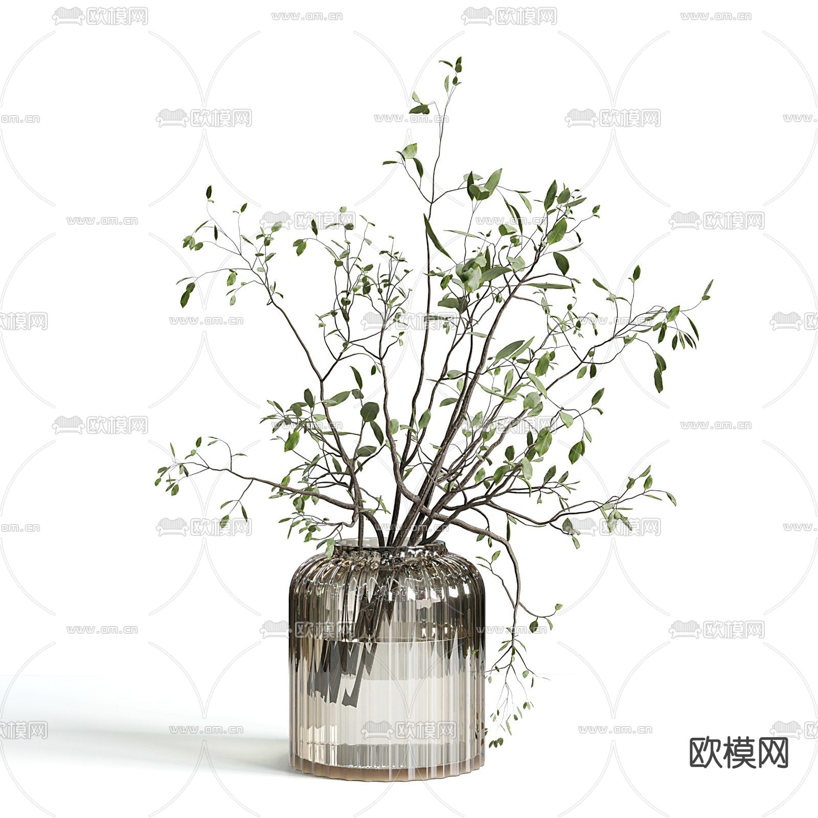 现代水生植物 花瓶 盆栽3d模型下载（渲染图1）