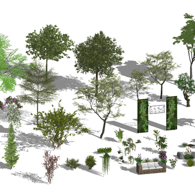  景观树 乔木 大树 灌木su模型 