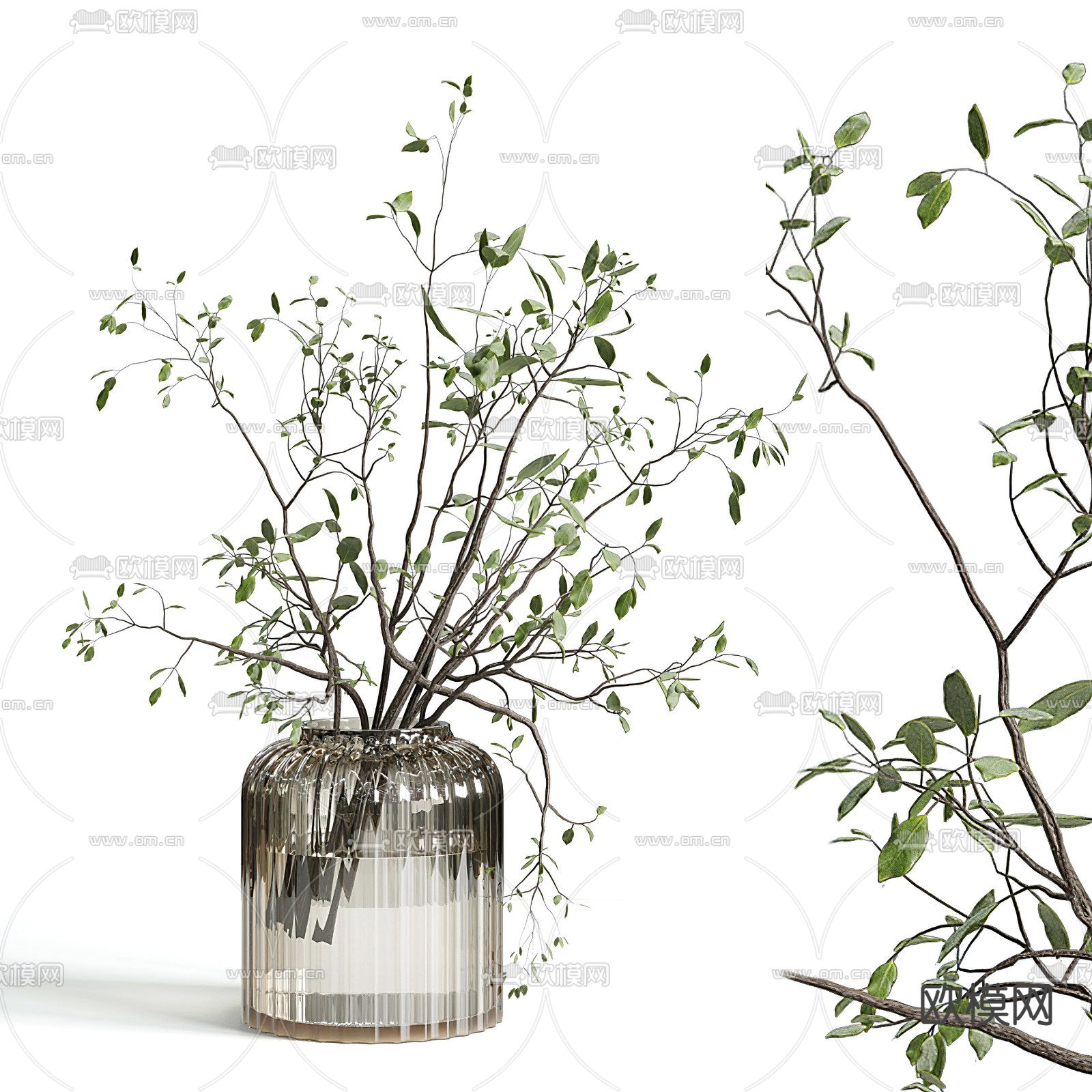 现代水生植物 花瓶 盆栽3d模型下载（渲染图2）