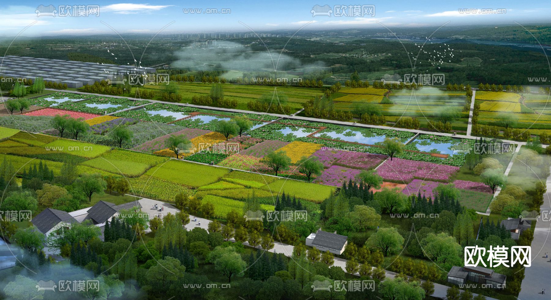 现代农村湿地菜地园鸟瞰psd下载