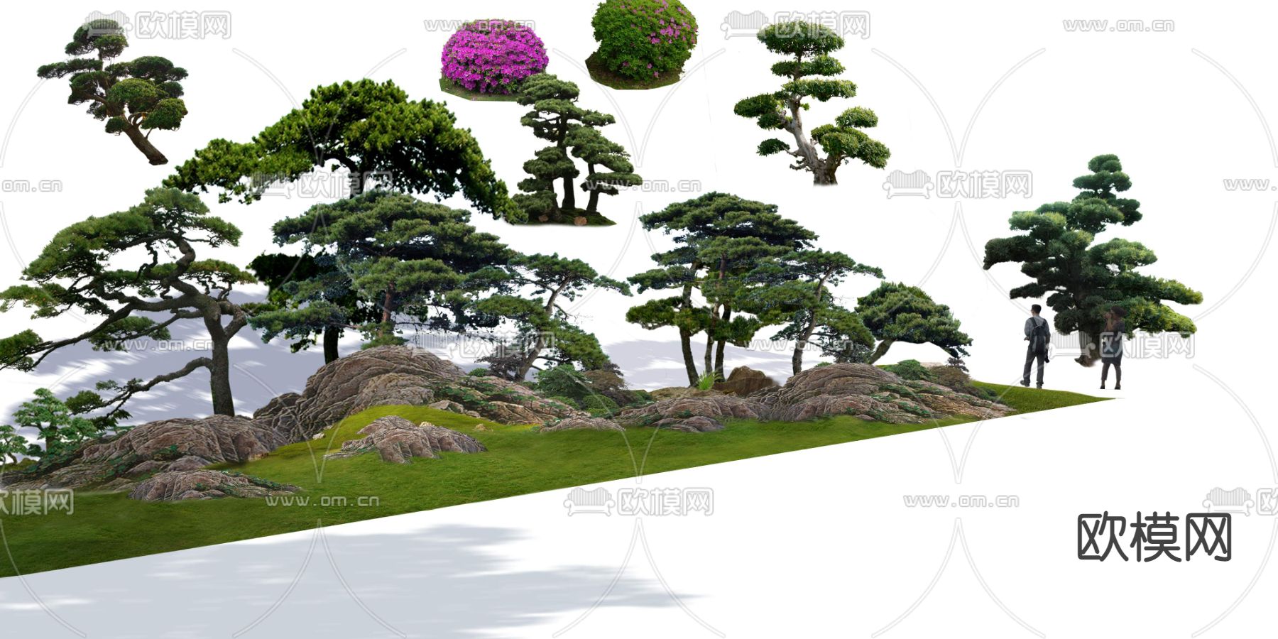 现代松树绿植草地psd下载