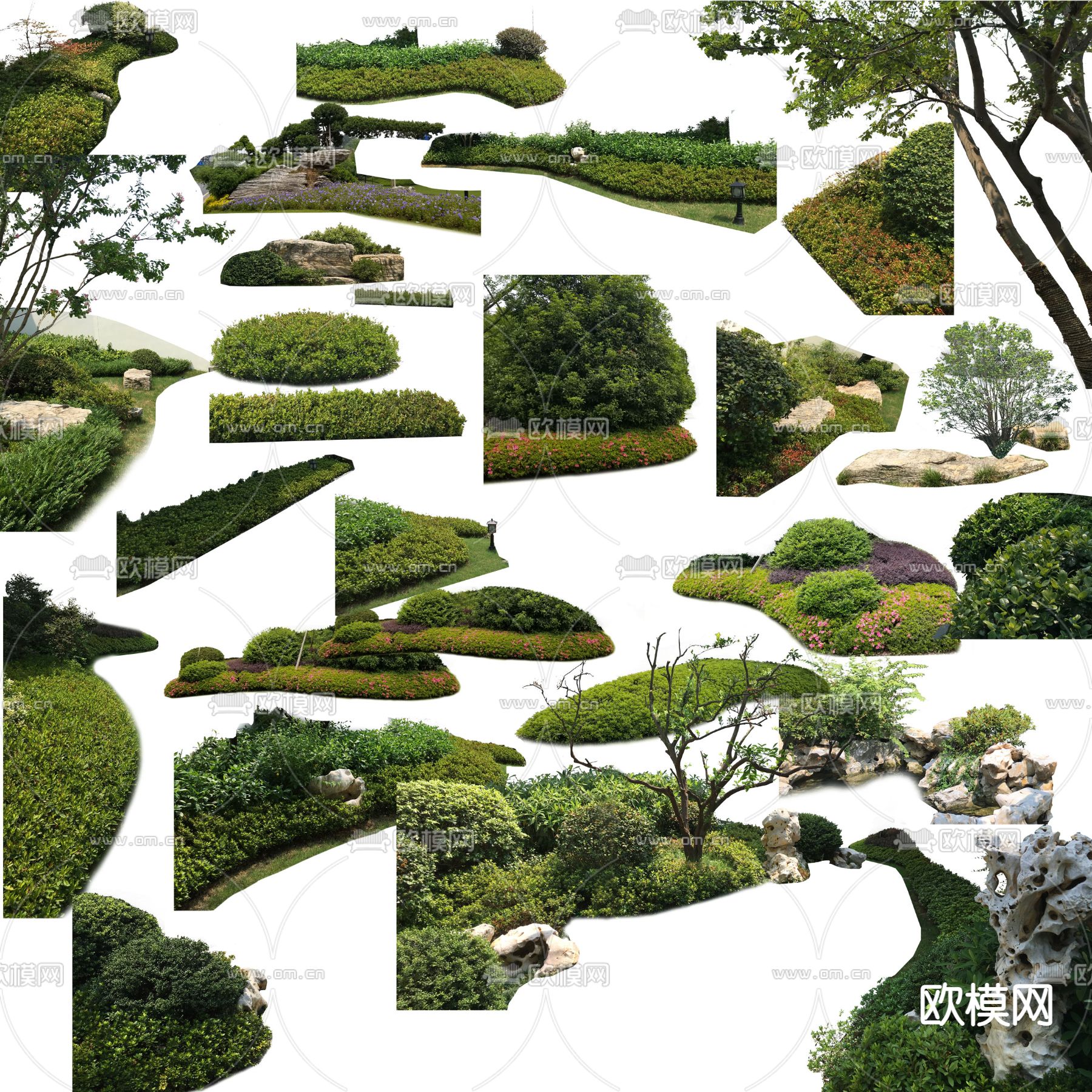 现代绿植灌木丛psd下载