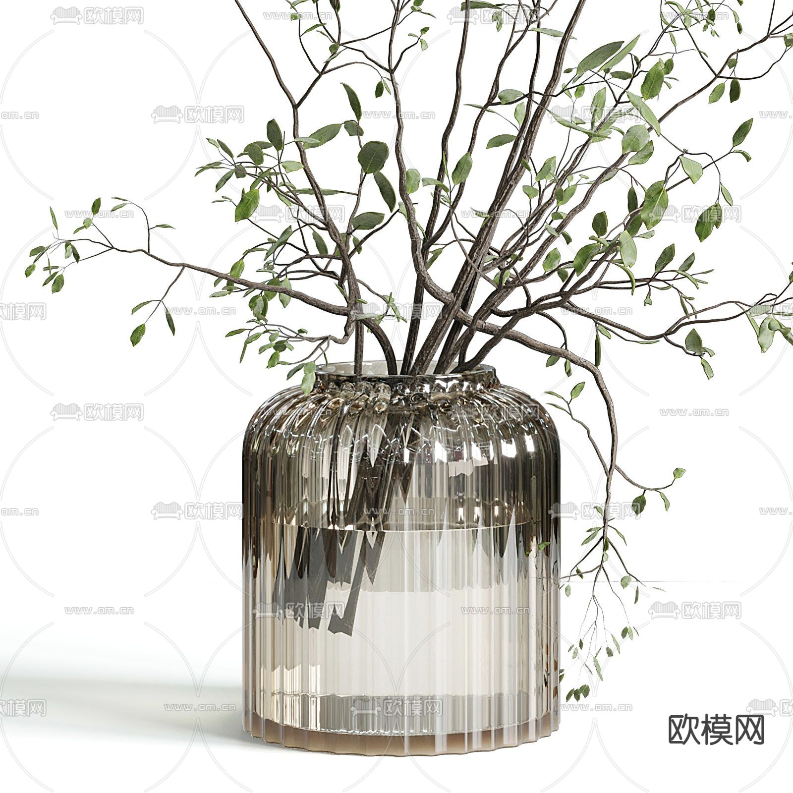 现代水生植物 花瓶 盆栽3d模型下载（渲染图3）