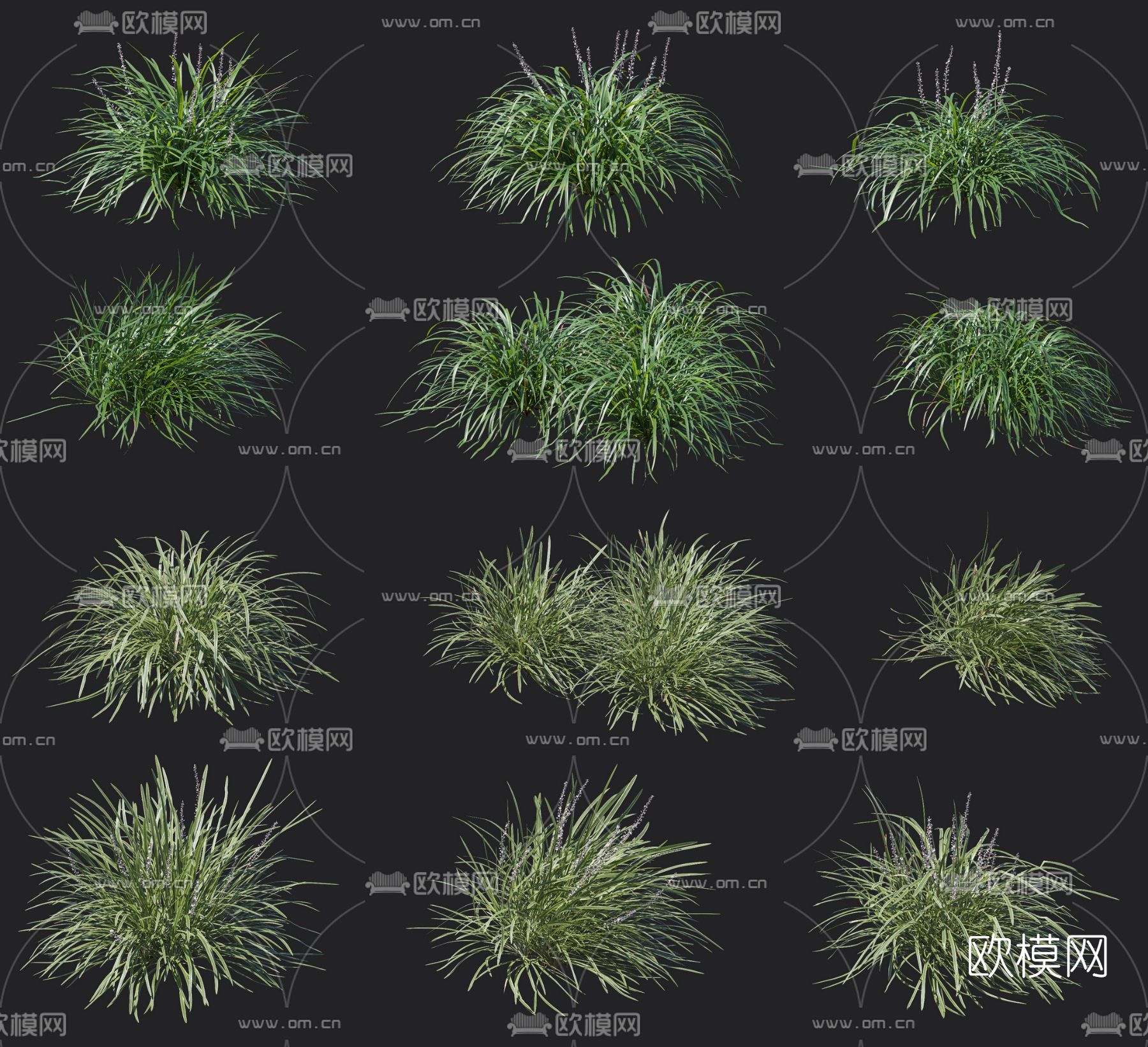 现代绿植草3d模型下载_ID12124824_3dmax免费模型-欧模网
