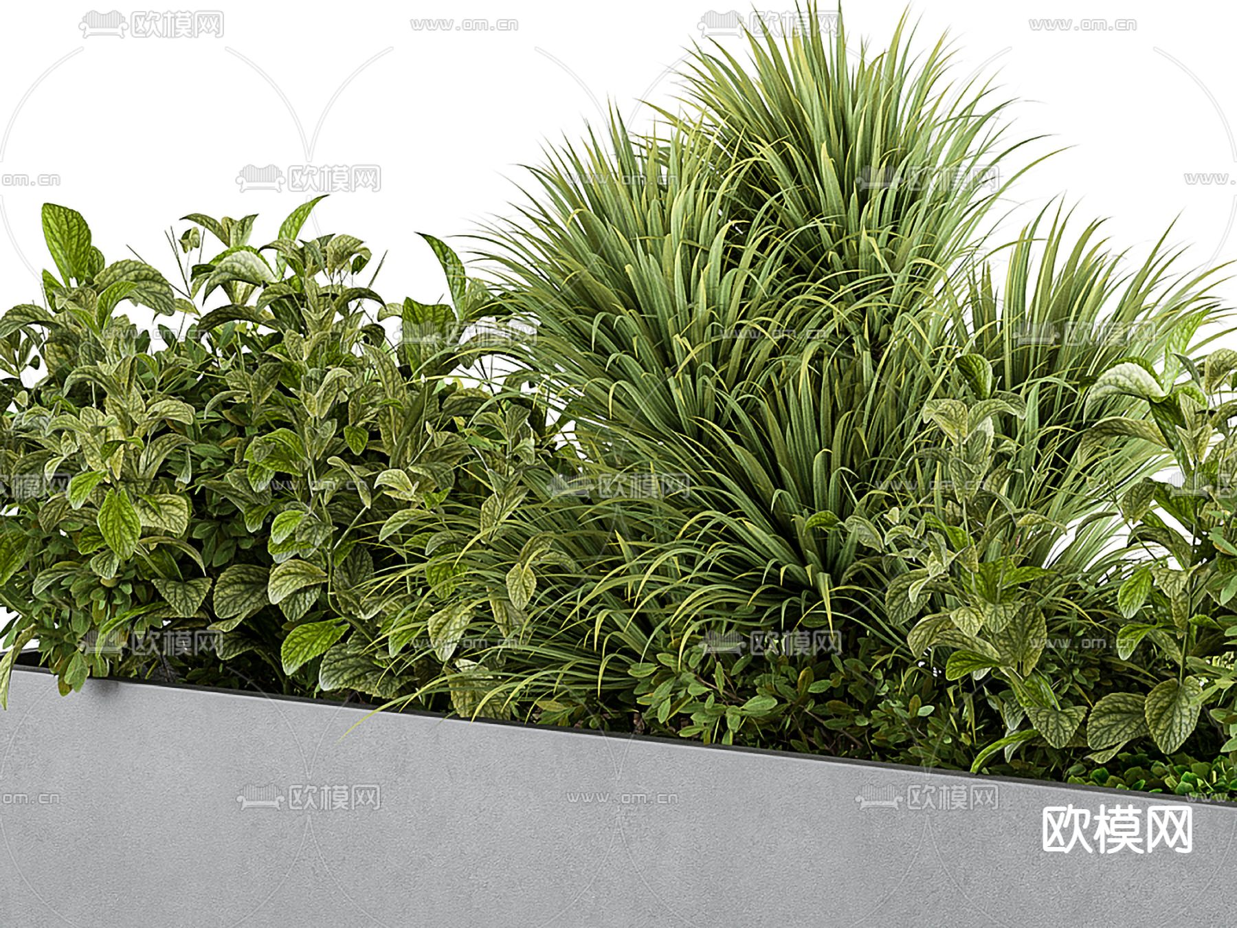 现代花圃 花坛 盆栽3d模型下载（渲染图2）