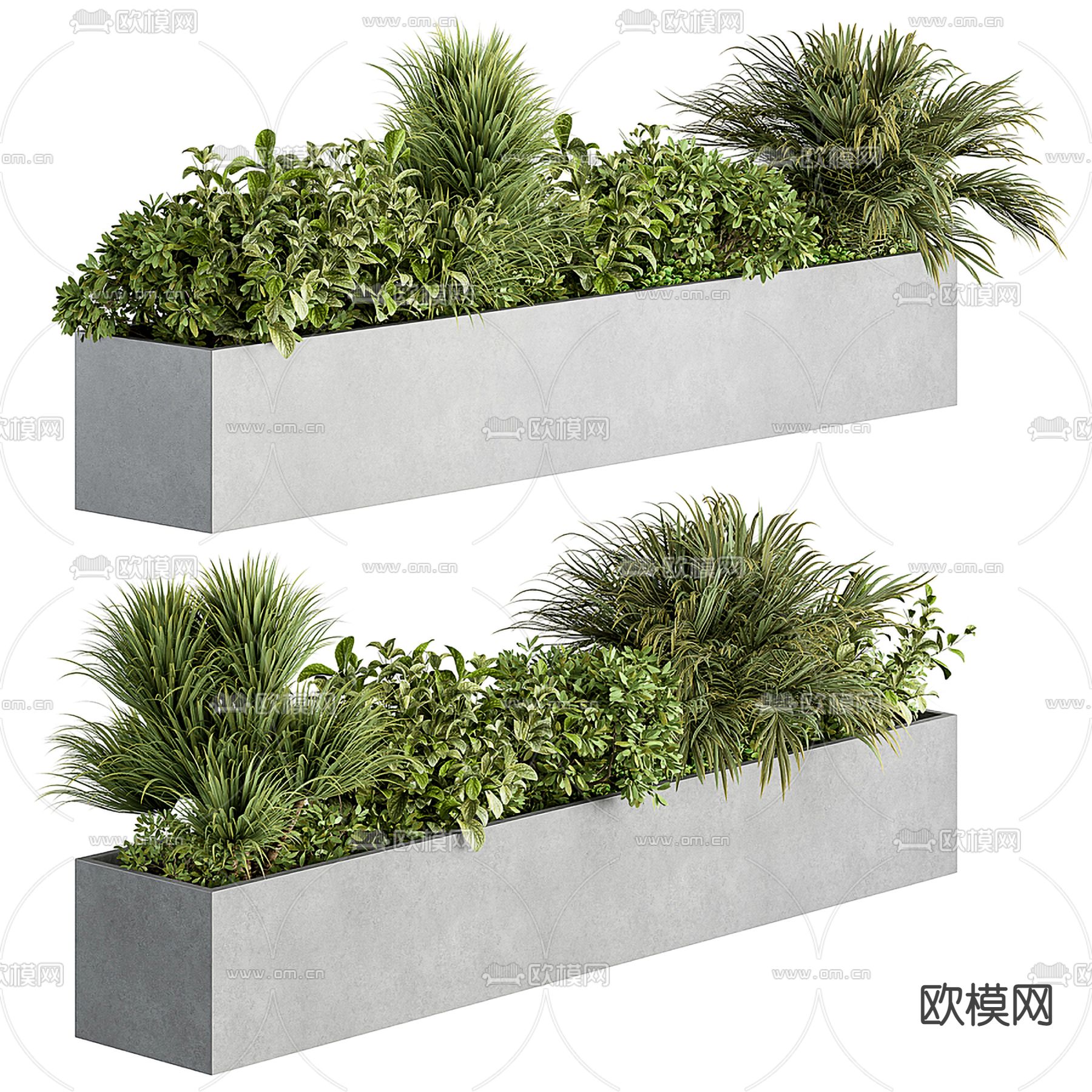 现代花圃 花坛 盆栽3d模型下载（渲染图1）