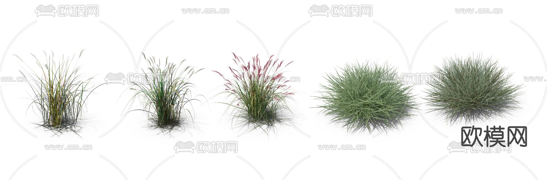 芦苇草 枯草 草丛psd下载