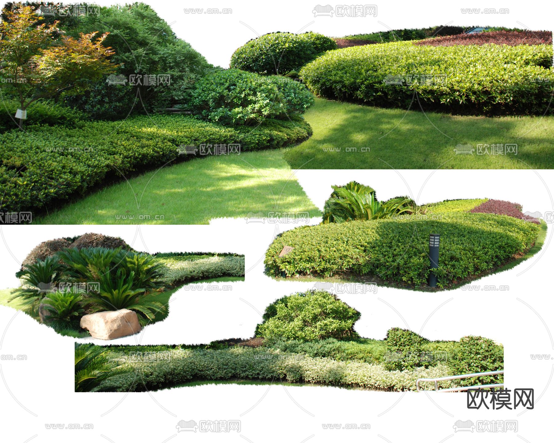 灌木丛 花坛灌木psd下载