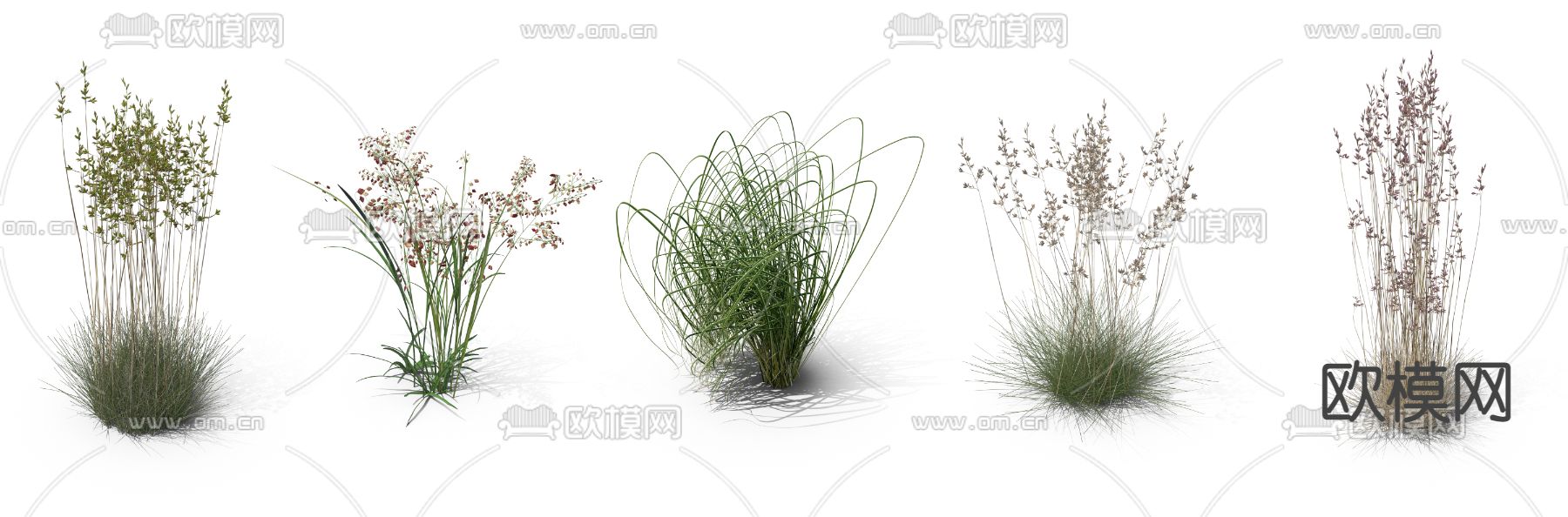 芦苇草 枯草 草丛psd下载