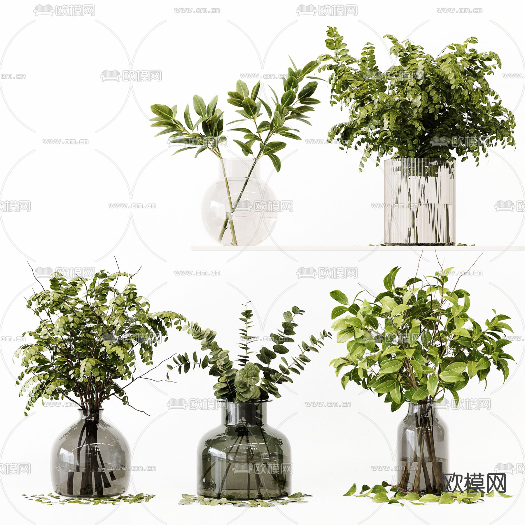 现代水培绿植插花花瓶 花艺3d模型下载（渲染图1）