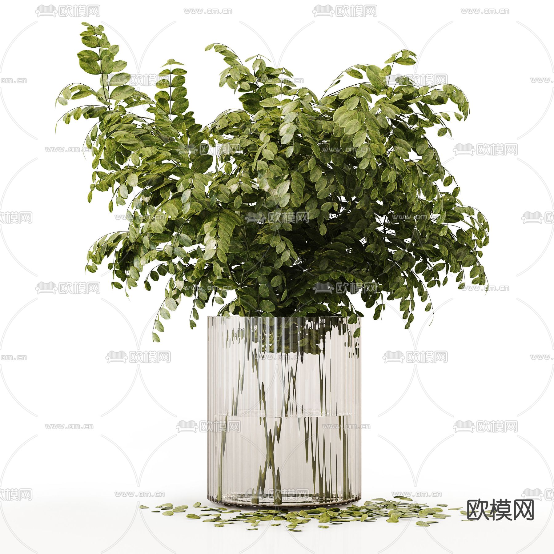 现代水培绿植插花花瓶 花艺3d模型下载（渲染图4）