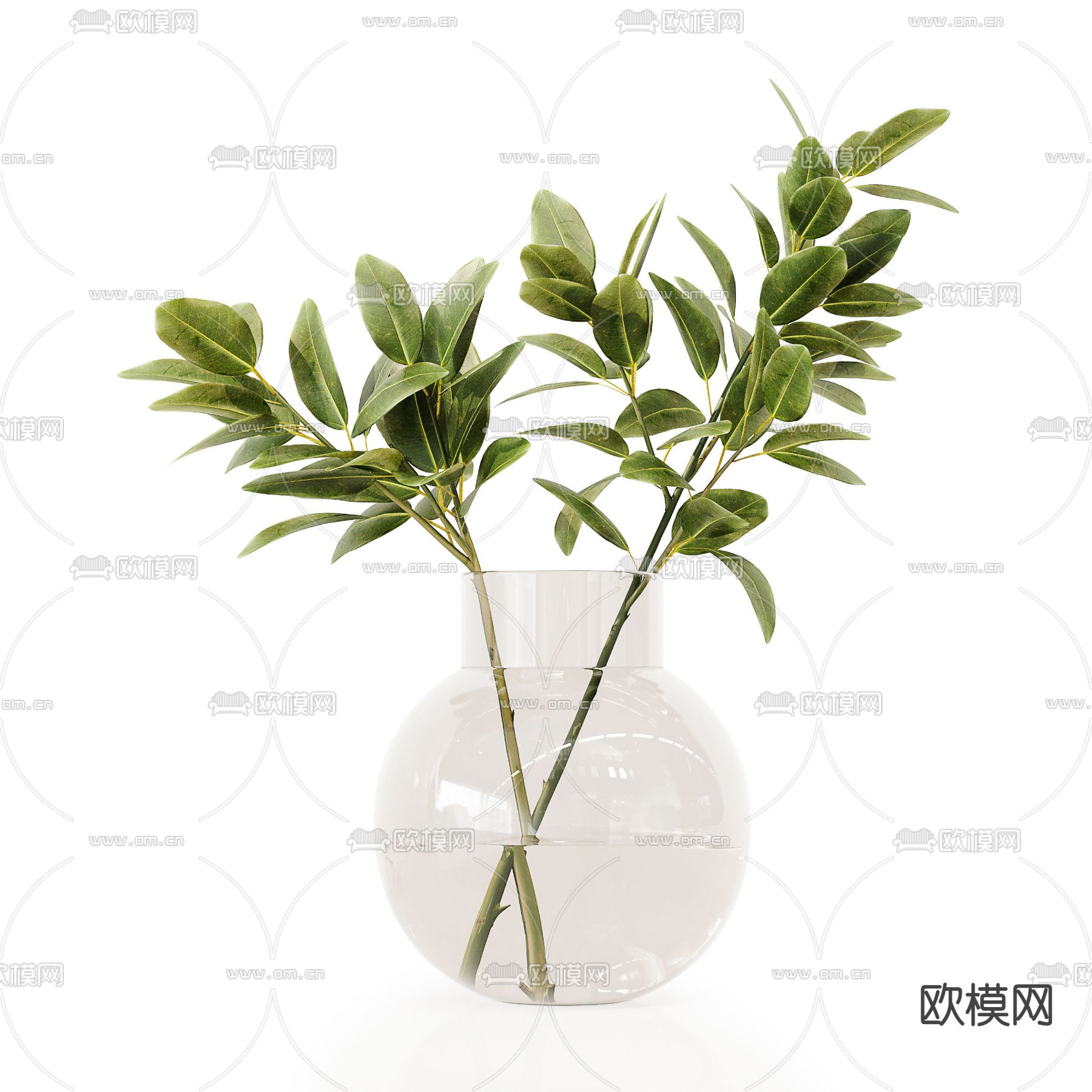 现代水培绿植插花花瓶 花艺3d模型下载（渲染图2）