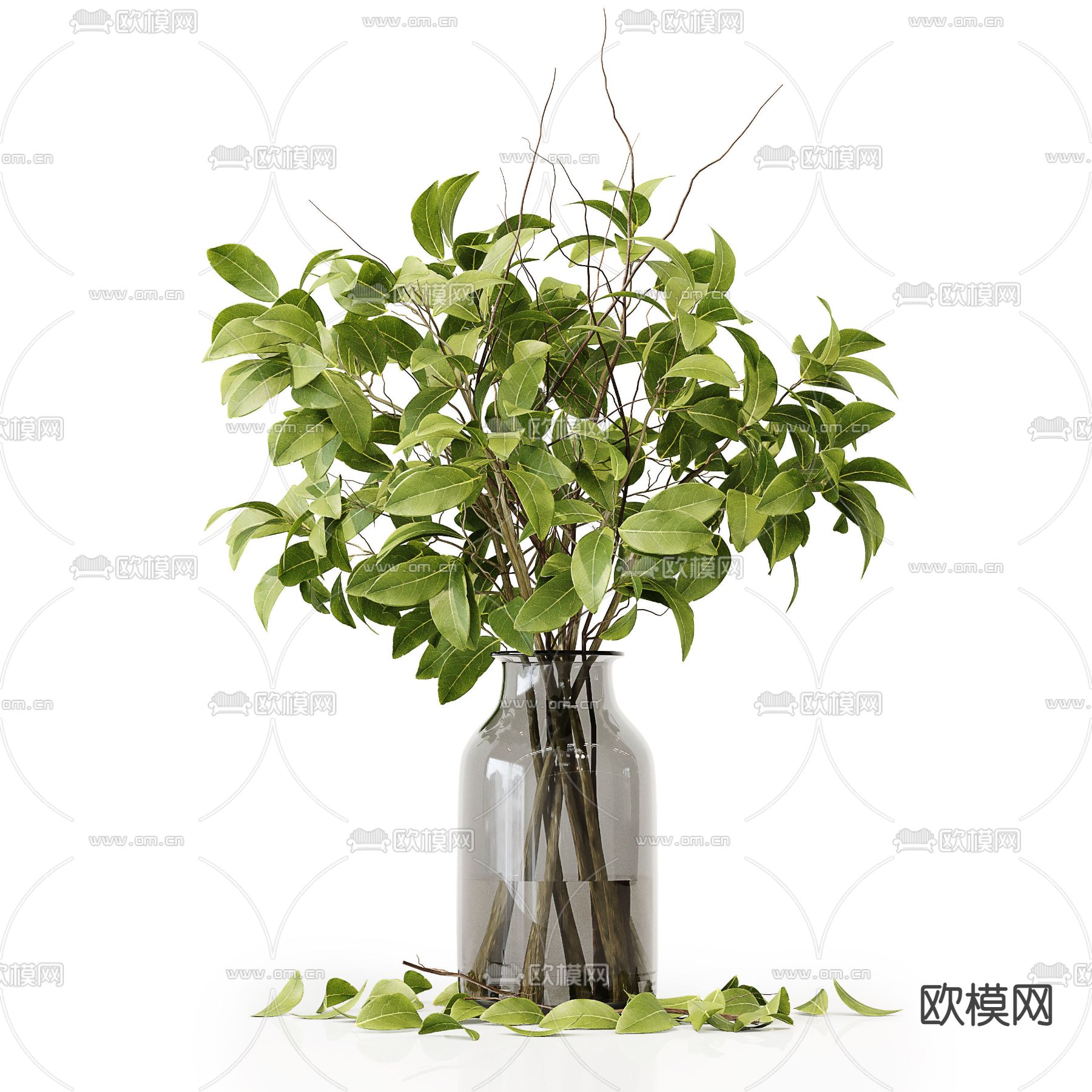 现代水培绿植插花花瓶 花艺3d模型下载（渲染图5）