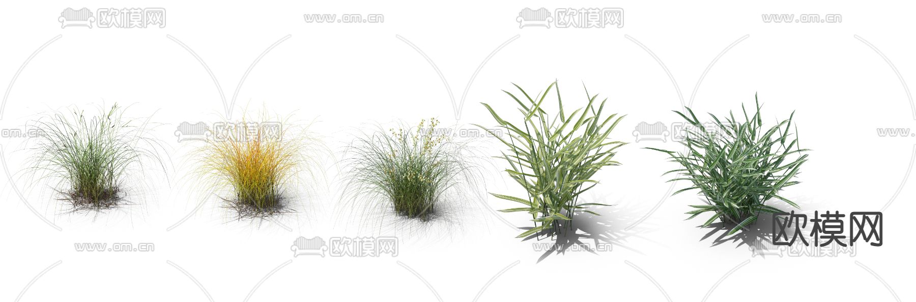 芦苇草 枯草 水稻 草丛psd下载